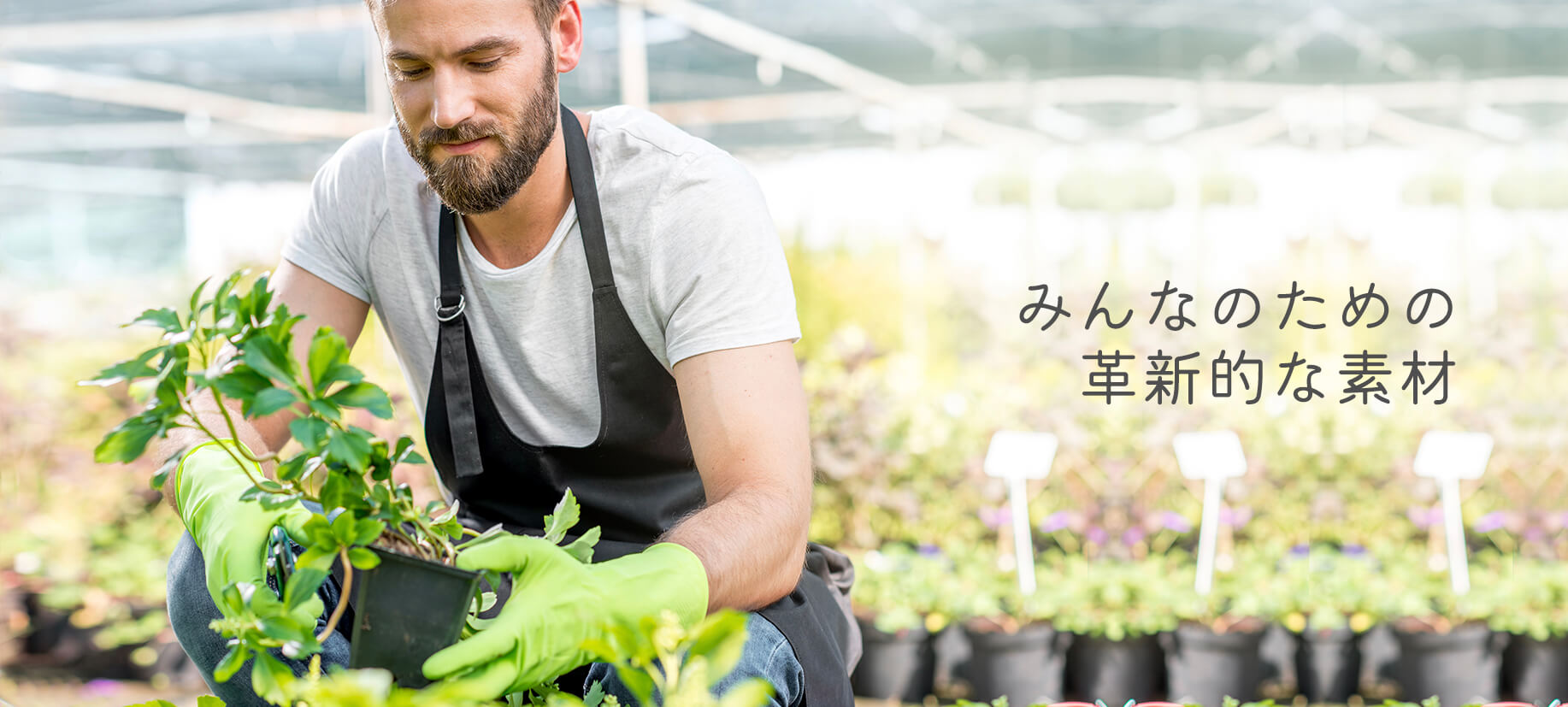 温室で小さな鉢植えの手入れをする男性の庭師